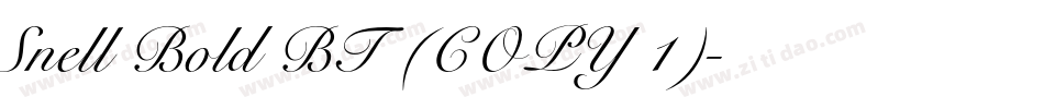 Snell Bold BT (COPY 1)字体转换